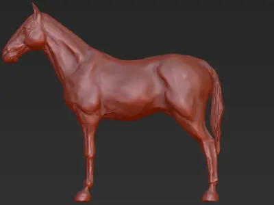 Horse Highpoly sculpt 3D model 3D model