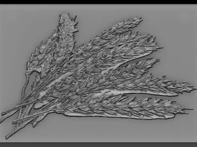 Wheat book with leaves 3D print model