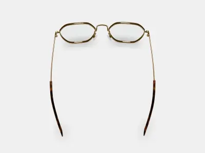 Keiko Eyeglasses in Polished Gold 3D model