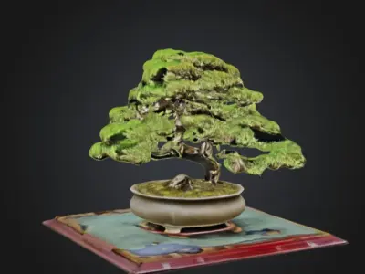3D Model of a Bonsai Tree in a Pot 3D model