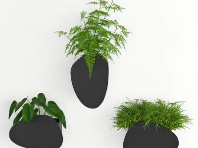 Houseplant 69 3D model