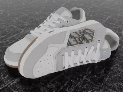CHRISTIAN DIOR B28 UPTOWN LOW 3D SHOES GREY WHITE Low-poly 3D model