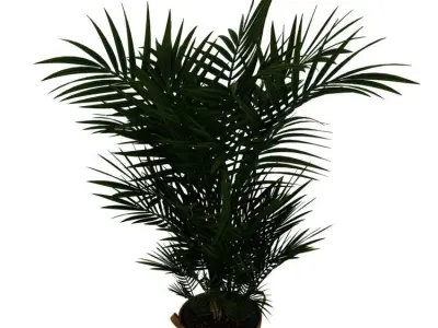 POTTED PLANT 3D model