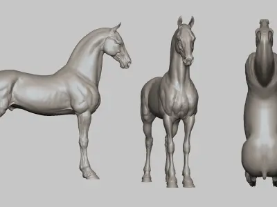 Horse Friesian - TPose 3D model