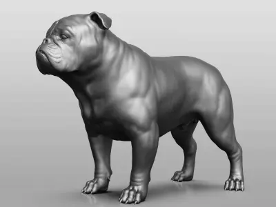 Dog breed collection  8 types of dogs 3D model