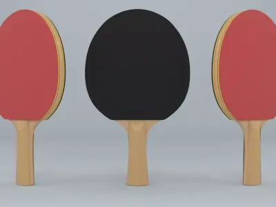 Ping Pong Paddle Low-poly 3D model