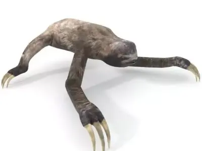 Sloth with claws Low-poly 3D model