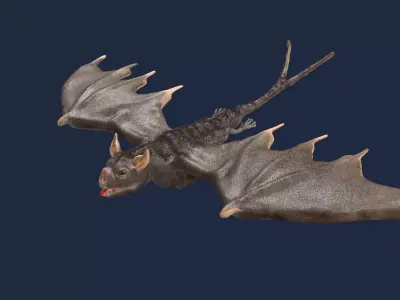 vampire bat 3D model