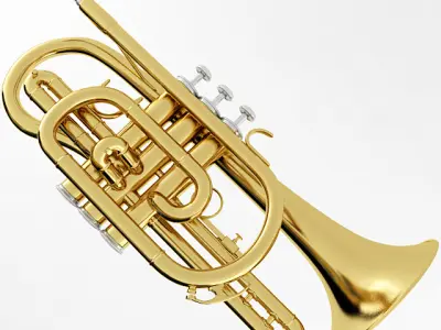 Cornet gold trumpet 3D model