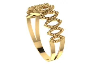 Anel modelo folha 3D print model