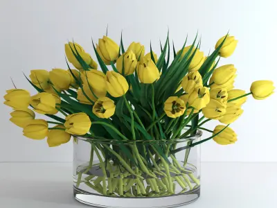 Yellow tulips 3D model