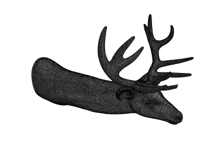 Realistic Deer Head Wall Mount Low-poly 3D model
