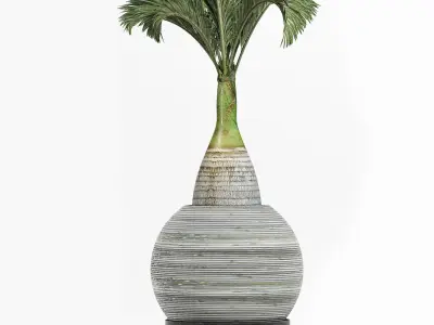 Plants Collection 181 Palm 3D model