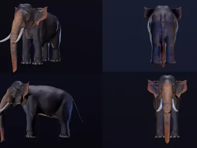 Realistic 3D Elephant with Tusks 3D model