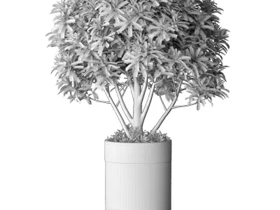 Decorative tree floral modern black Luxury pot vase Art Deco  3D model