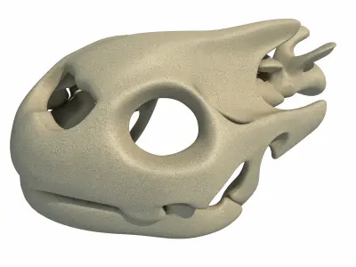 Tortoise  Skull Head 3D model