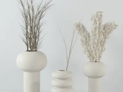 Dry plant set  3D model