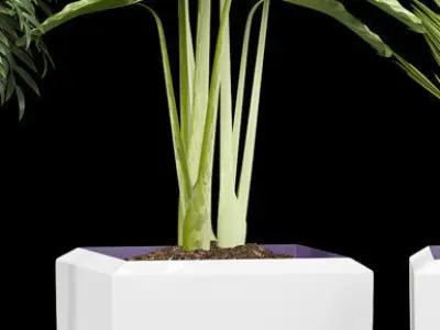 plants set 127 3D model