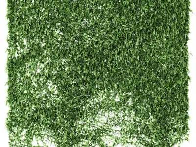 Set of 4 ivy models for walls or fence 3D model