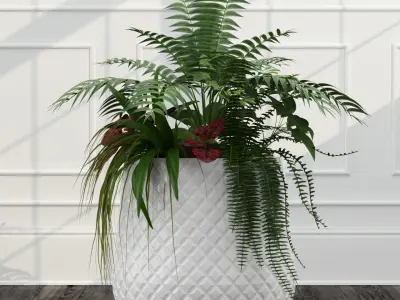 Room plants 3D model