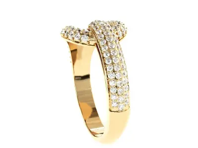 elegant fancy ring  3D print model