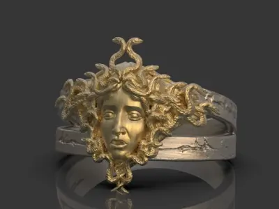 Gorgon Head Ring  3D print model