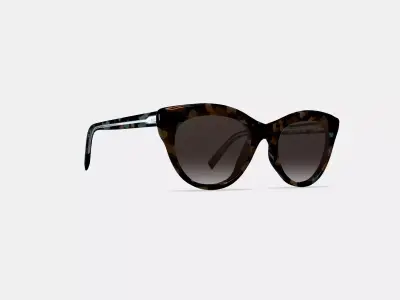 Tilley Sunglasses in Smoky Pearl Tortoise 3D model
