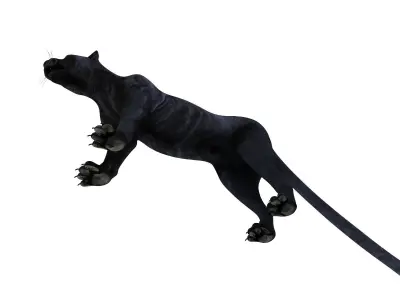 Black Panther 3D Models game ready Low-poly 3D model