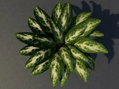 Low Poly UV Mapped Plant Free low-poly 3D model