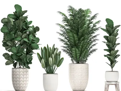 Decorative plants in a white pot for the interior 490 3D model