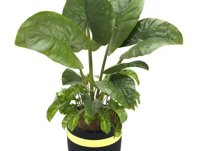 Flower pots Set 1 3D model