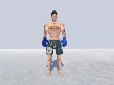 MMA Fighter Rigged Low-poly 3D model