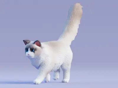 Low poly - Stylized cats - Ragdoll Cat Low-poly 3D model