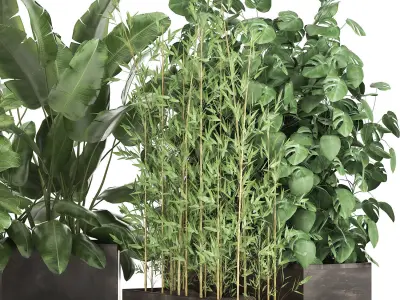 Exotic plants in a rusty flowerpot for the interior 993 3D model