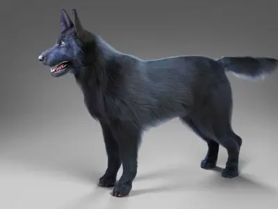 Fur Black Dog NO Rig Low-poly 3D model