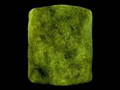 Broom Fork Moss Sparse Version Substance Material and Texture