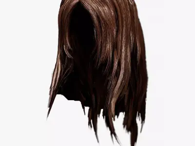  Female Hair Low-poly 3D model