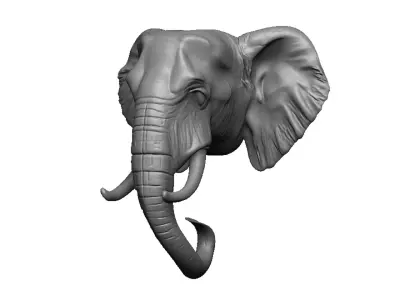 elephant head 3D print model order