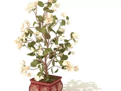 Medium Potted Plant 3D model