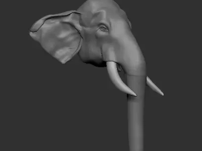 Asian Elephant head 3D model