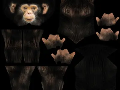 Chimpance chimpanzee Low-poly 3D model