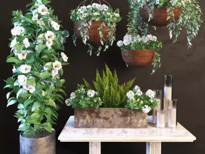 Hanging pot flowers 3D model