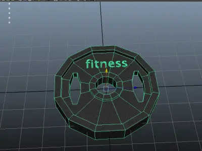 Fitness disc 3D model