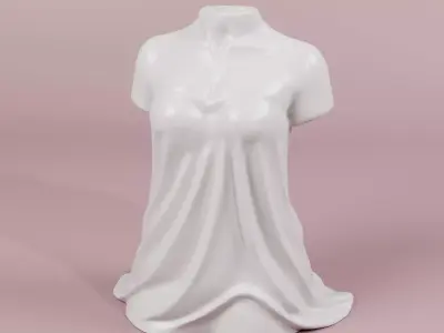 Unique Female Body Vase - 3Dprint plant pot  3D print model