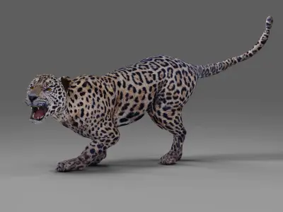 Jaguar Rigged in Blender  Low-poly 3D model