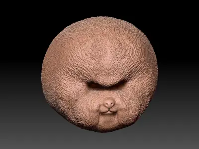 Bichon Head - 3D Print Model 3D print model