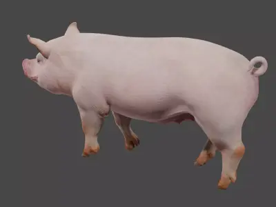 pig in pink 3D model