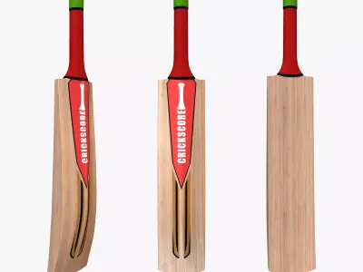 Cricket Bat Low-poly 3D model