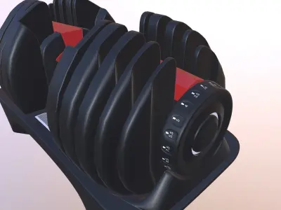 Adjustable Dumbbell 3D model