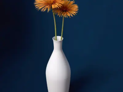 XfrogPlants Spider Gerbera 3D model